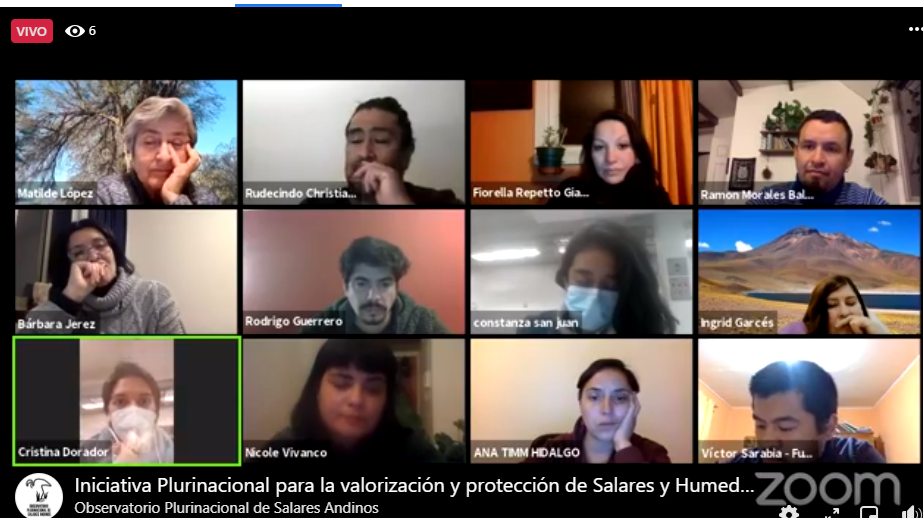 OPSAL invitó a definir cómo avanzar en protección de salares y humedales andinos en el nuevo contexto constituyente